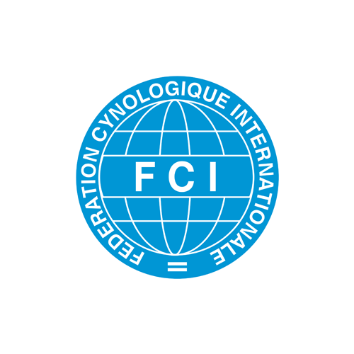 fci-comp